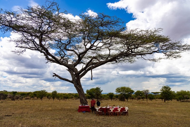 Tanzania - Parco nazionale del Serengeti - Nyabogati Camp