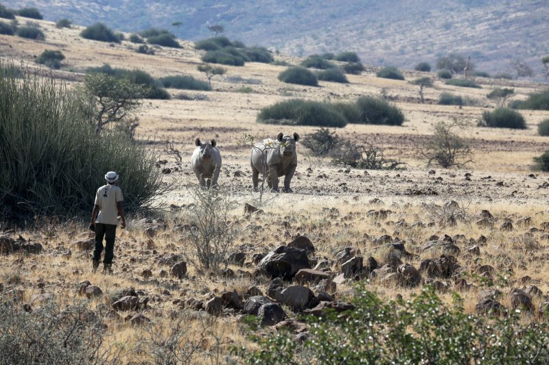 Namibia - Palmwag - Palmwag Lodge