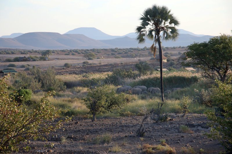 Namibia - Palmwag - Palmwag Lodge