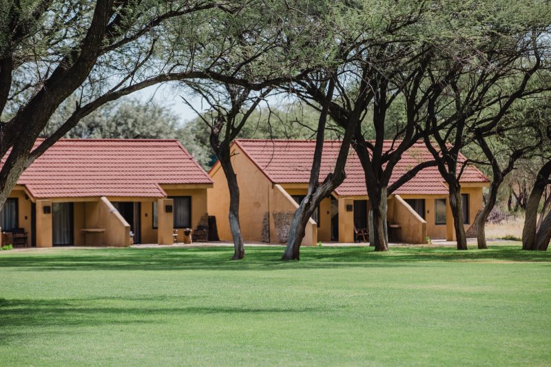 Namibia - Greater Windhoek - Okapuka Safari Lodge