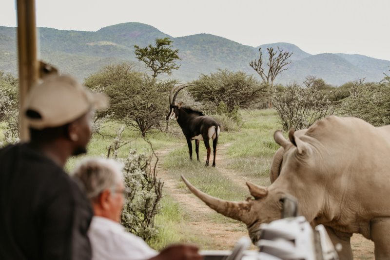 Namibia - Greater Windhoek - Okapuka Safari Lodge