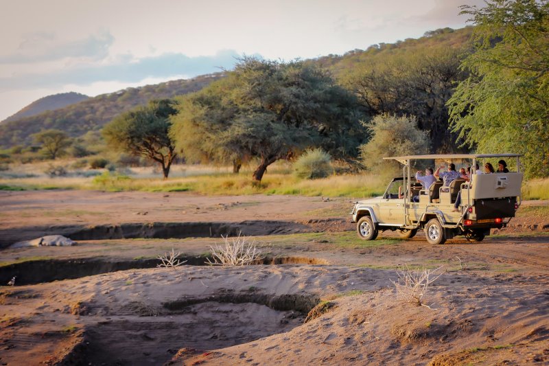 Namibia - Greater Windhoek - Okapuka Safari Lodge