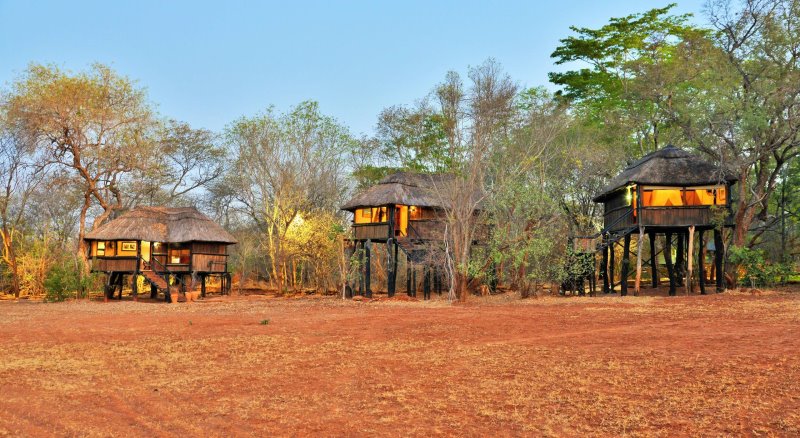 Zimbabwe - Hwange - Ivory Lodge
