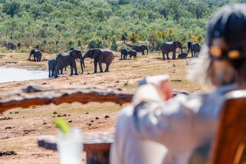 Zimbabwe - Hwange - Ivory Lodge