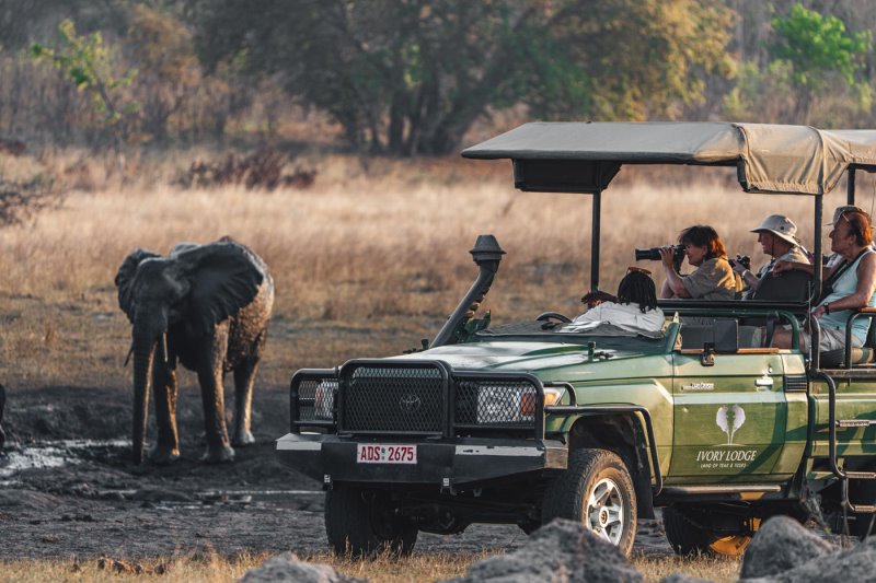 Zimbabwe - Hwange - Ivory Lodge