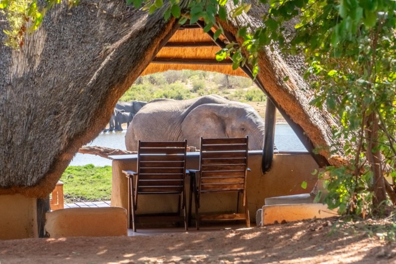 Zimbabwe - Hwange - Ivory Lodge