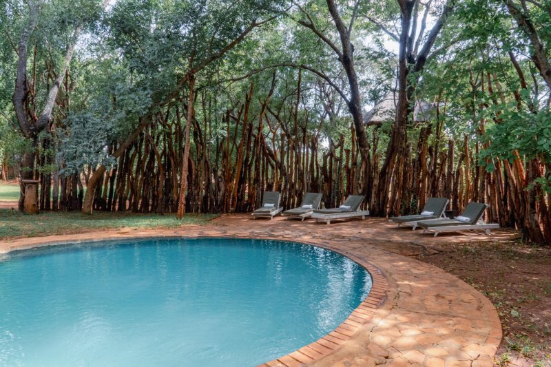 Zimbabwe - Hwange - Ivory Lodge