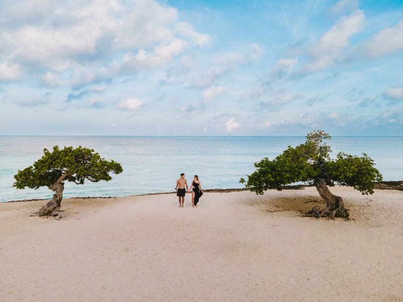 Aruba Amsterdam Manor Beach Resort