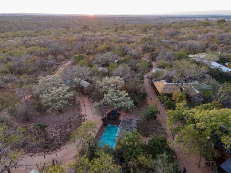 Sudafrica - Sabi Sands - Langa Langa Tented Safari Camp