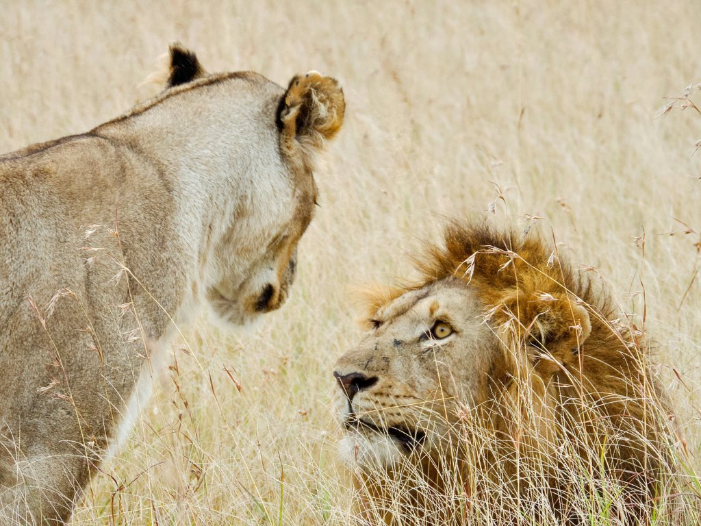 Tanzania sostenibile: natura, cultura e persone