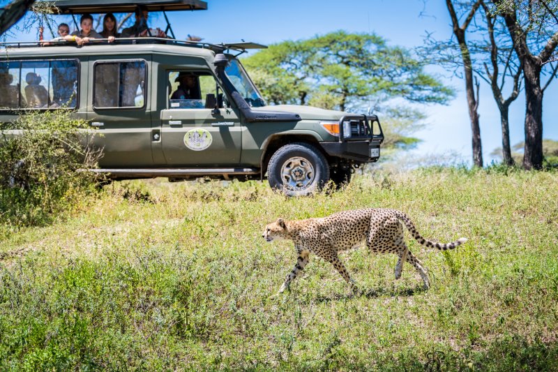 Tanzania - tour sostenibile jeep