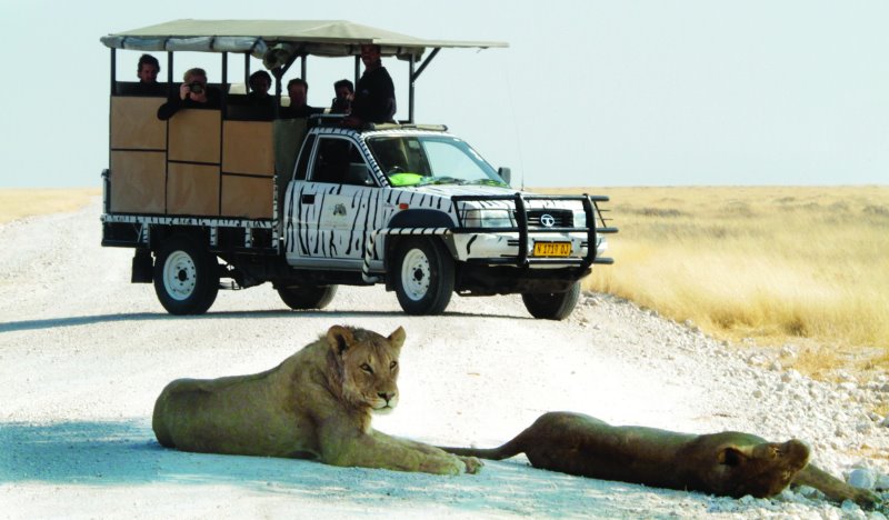 Namibia - Etosha National ParkEtosha Safari Lodge, Gondwana Collection Namibia