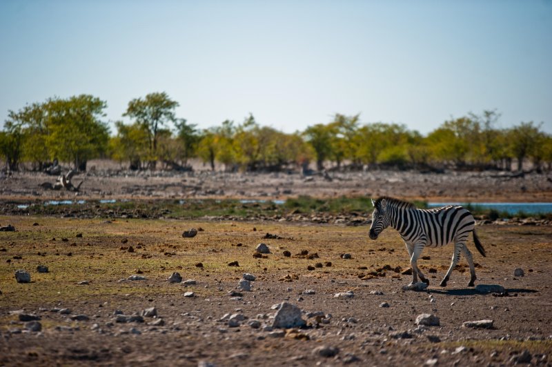 Namibia - Etosha National ParkEtosha Safari Lodge, Gondwana Collection Namibia