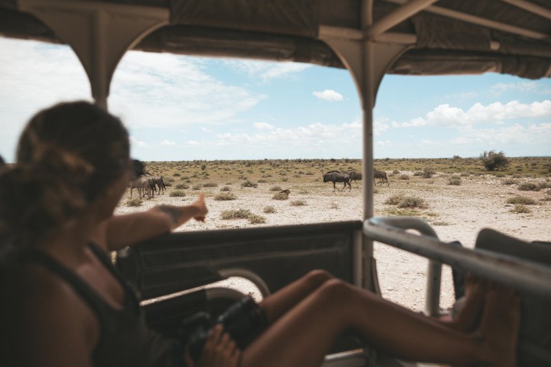Namibia - Etosha National ParkEtosha Safari Lodge, Gondwana Collection Namibia