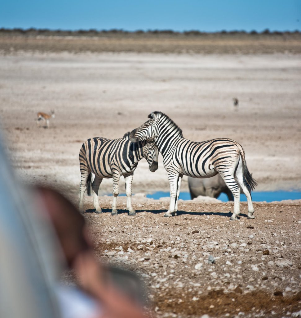 Namibia - Etosha National ParkEtosha Safari Lodge, Gondwana Collection Namibia