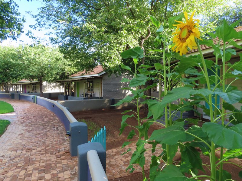 Namibia - Damaraland - Damara Mopane Lodge - Gondwana Collection