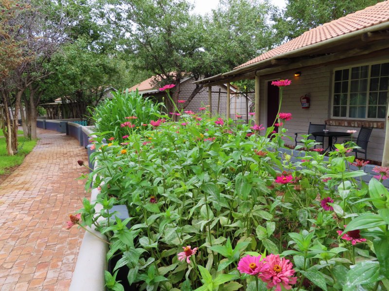 Namibia - Damaraland - Damara Mopane Lodge - Gondwana Collection