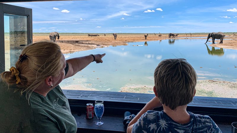 Namibia - Etosha - Etosha King Nehale
