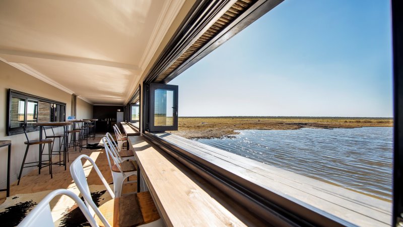 Namibia - Etosha - Etosha King Nehale