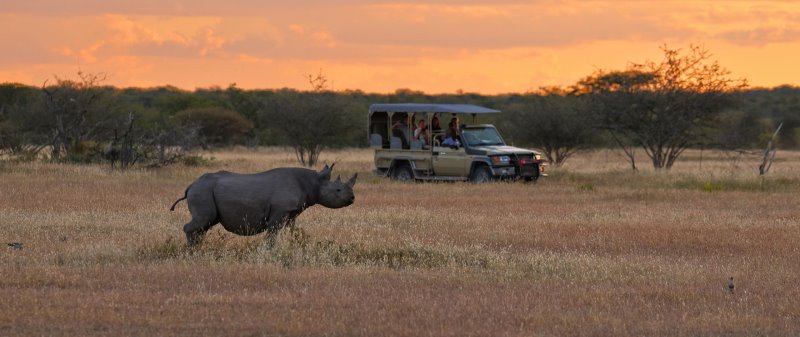 Namibia - Etosha National Park - Etosha Mountain Lodge