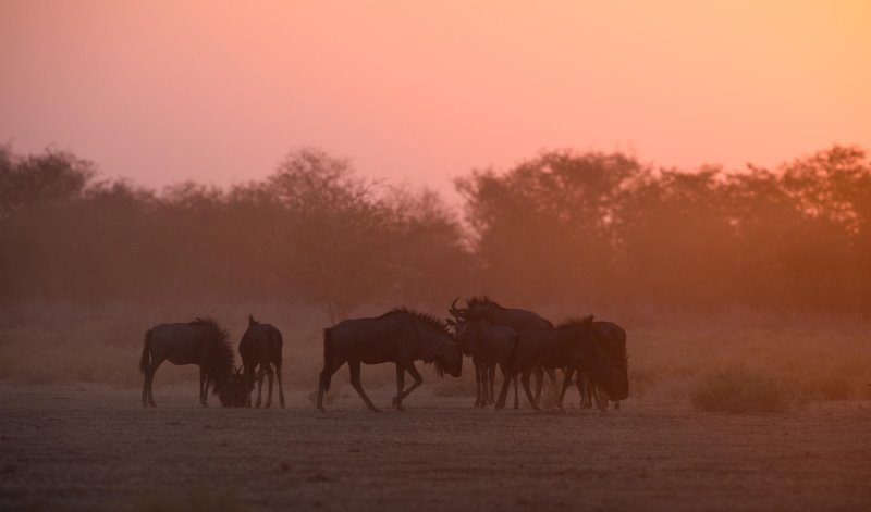 Namibia - Etosha National Park - Etosha Mountain Lodge