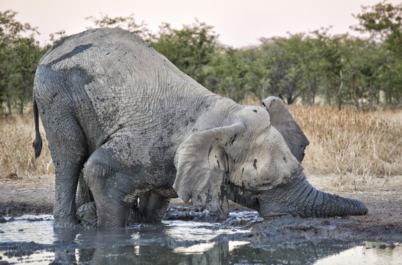 Namibia - Etosha National Park - Etosha Mountain Lodge