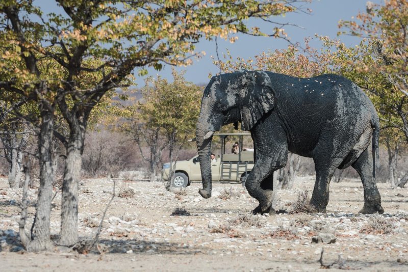 Namibia - Etosha National Park - Etosha Mountain Lodge