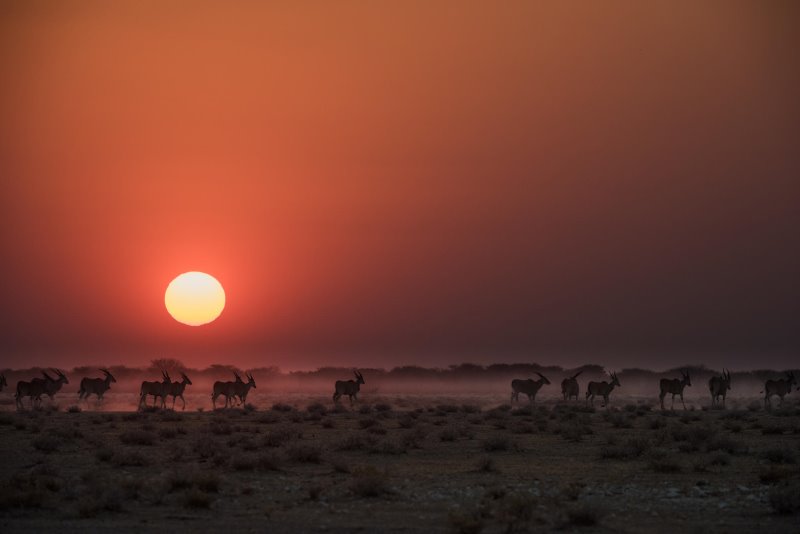 Namibia - Etosha National Park - Etosha Mountain Lodge