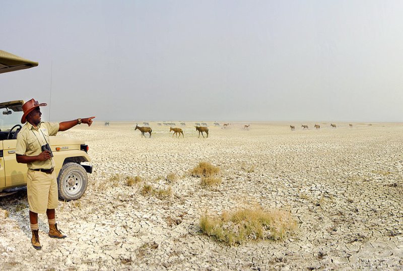 Namibia - Etosha National Park - Mokuti Etosha Lodge