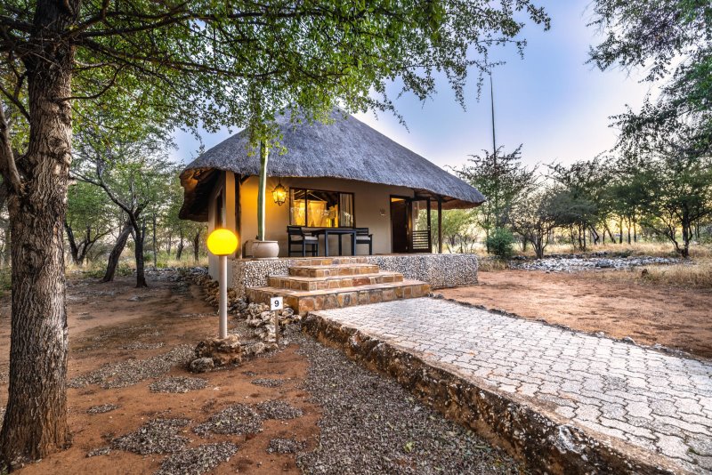 Namibia - Etosha National Park - Mushara Lodge