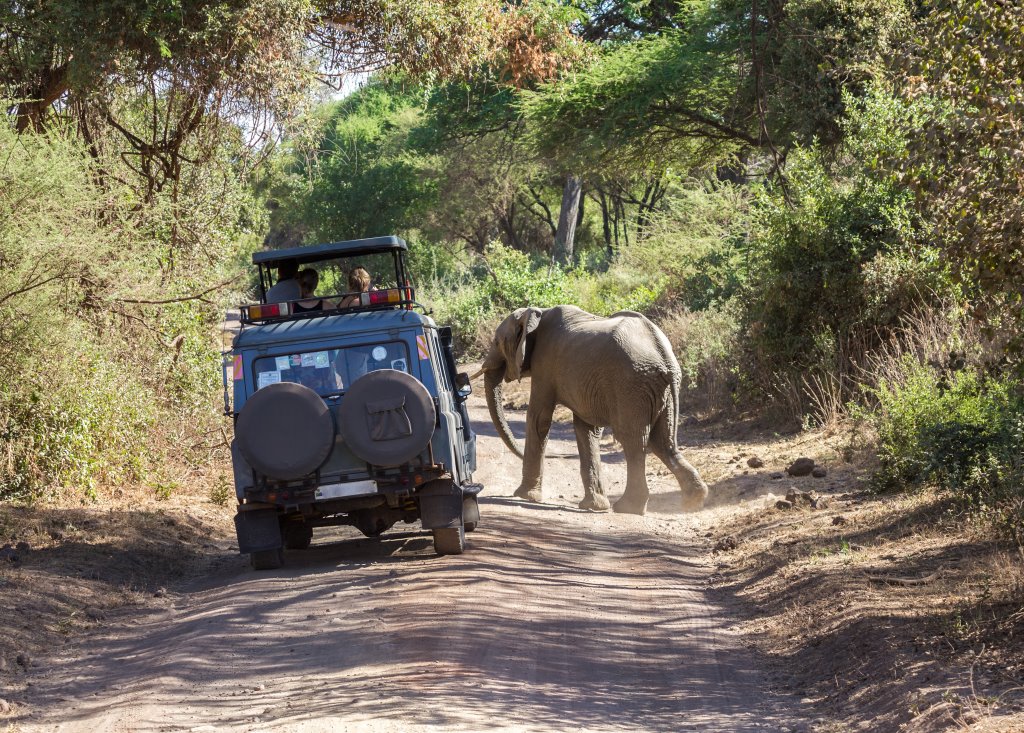 Da Zanzibar al Tarangire NP, Ngorongoro e Lake Manyara NP - Minitour di 3 giorni/2 notti