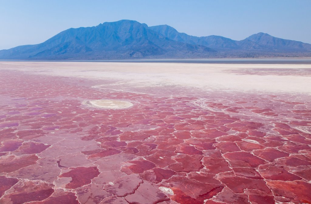 Da Zanzibar al Tarangire NP, Ngorongoro e Lago Natron - Minitour di 4 giorni/3 notti