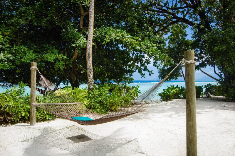 Seychelles - Silhouette Isl. - Niva Labriz Seychelles