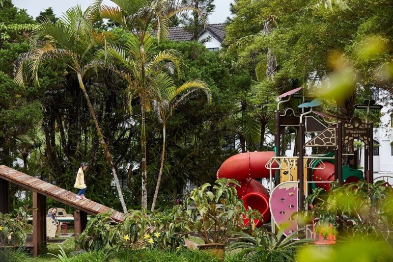 Malesia - Cameron Highlands - Strawberry Park