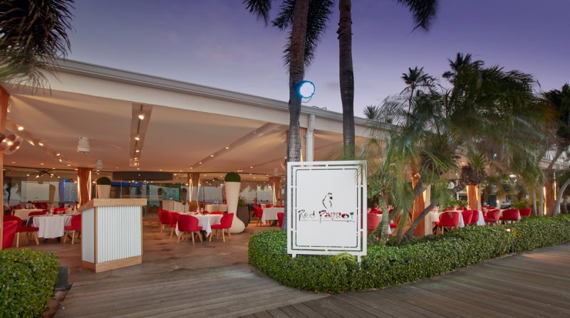 Aruba - Divi Aruba - Red Parrot