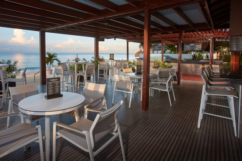 Aruba - Divi Aruba - Pelican