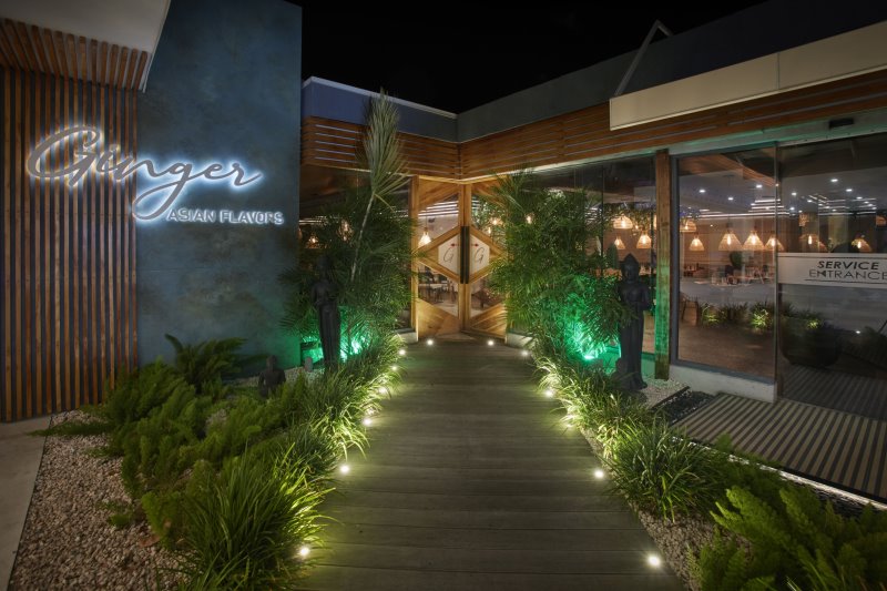 Aruba - Tamarijn Aruba - Ginger