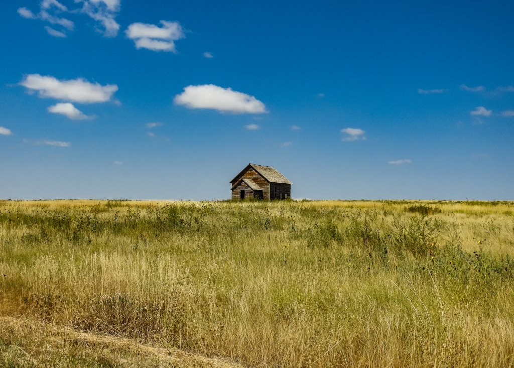 Parchi, culture e paesaggi del Great American West - Self drive di 22 giorni/21 notti