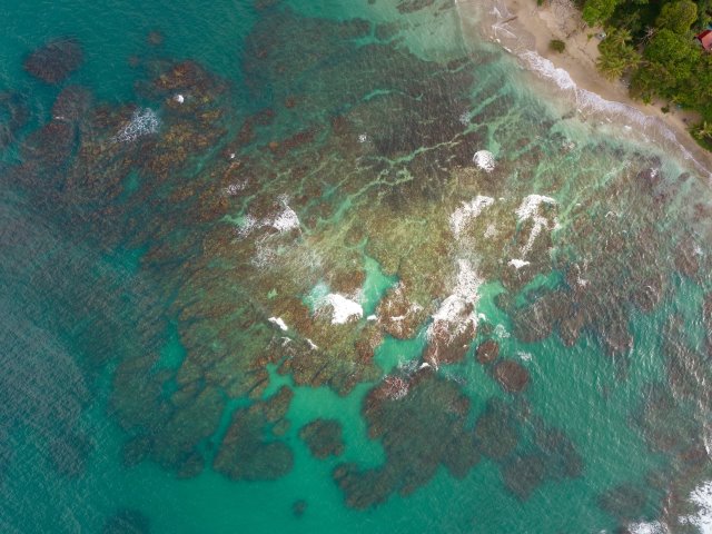 Costa Rica - Punta Cocles