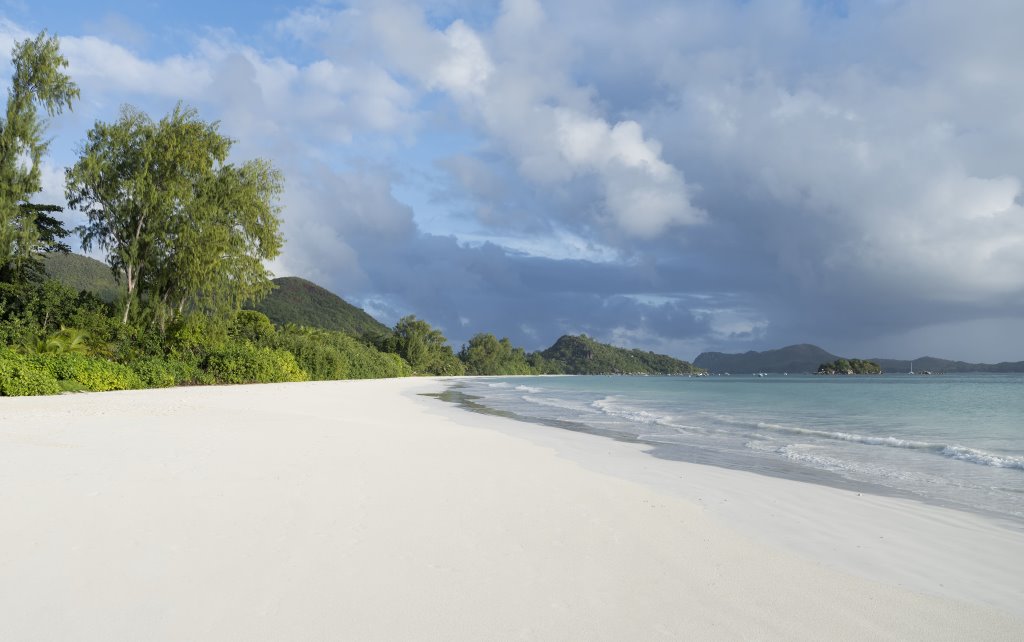 Seychelles - Praslin Isl. - Acajou