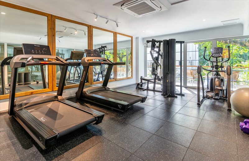 Seychelles - Praslin Isl. - Acajou - Palestra