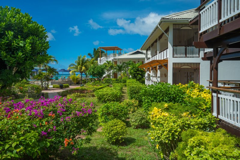 Seychelles - Praslin Isl. - Acajou