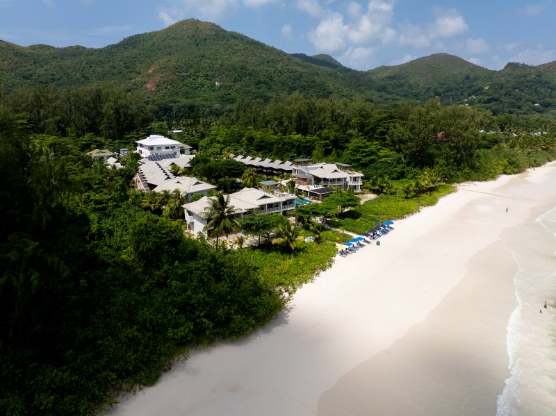 Seychelles - Praslin Isl. - Acajou