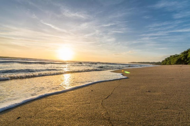 Costarica - Puerto Viejo de LImon - Cariblue Beach and Jungle Resort