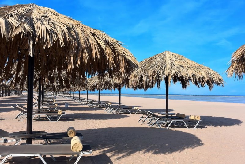 Egitto - Sharm El Sheikh - Steigenberger Alcazar