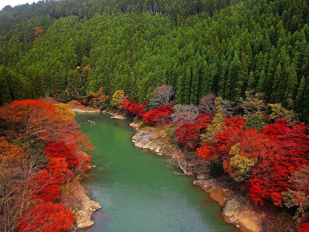 Giappone - Tokyo