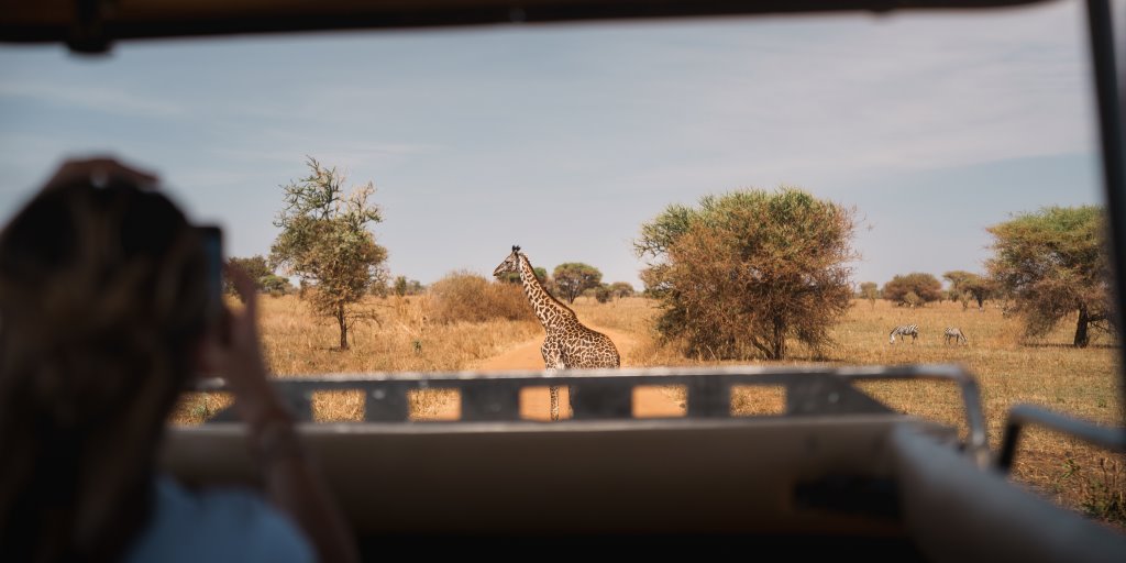 Tanzania  - Parco Nazionale del Tarangire