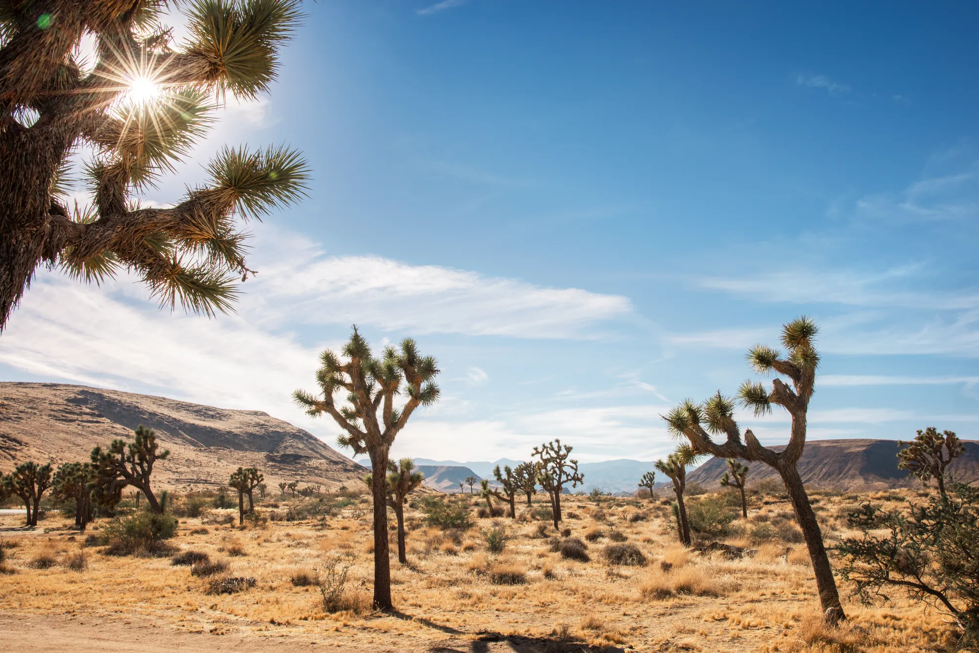 Road trip California 1